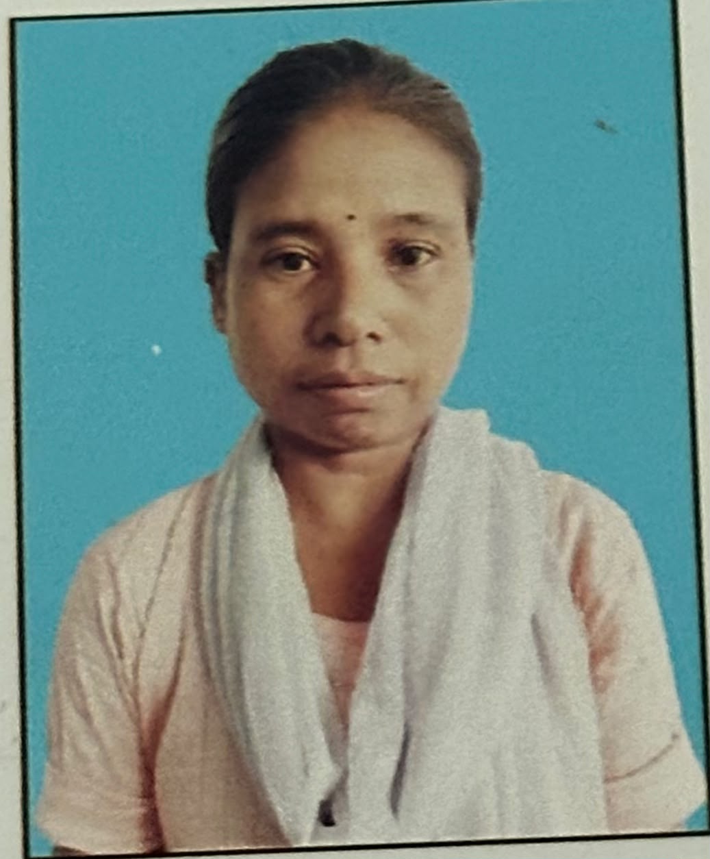 Bhijili Roy