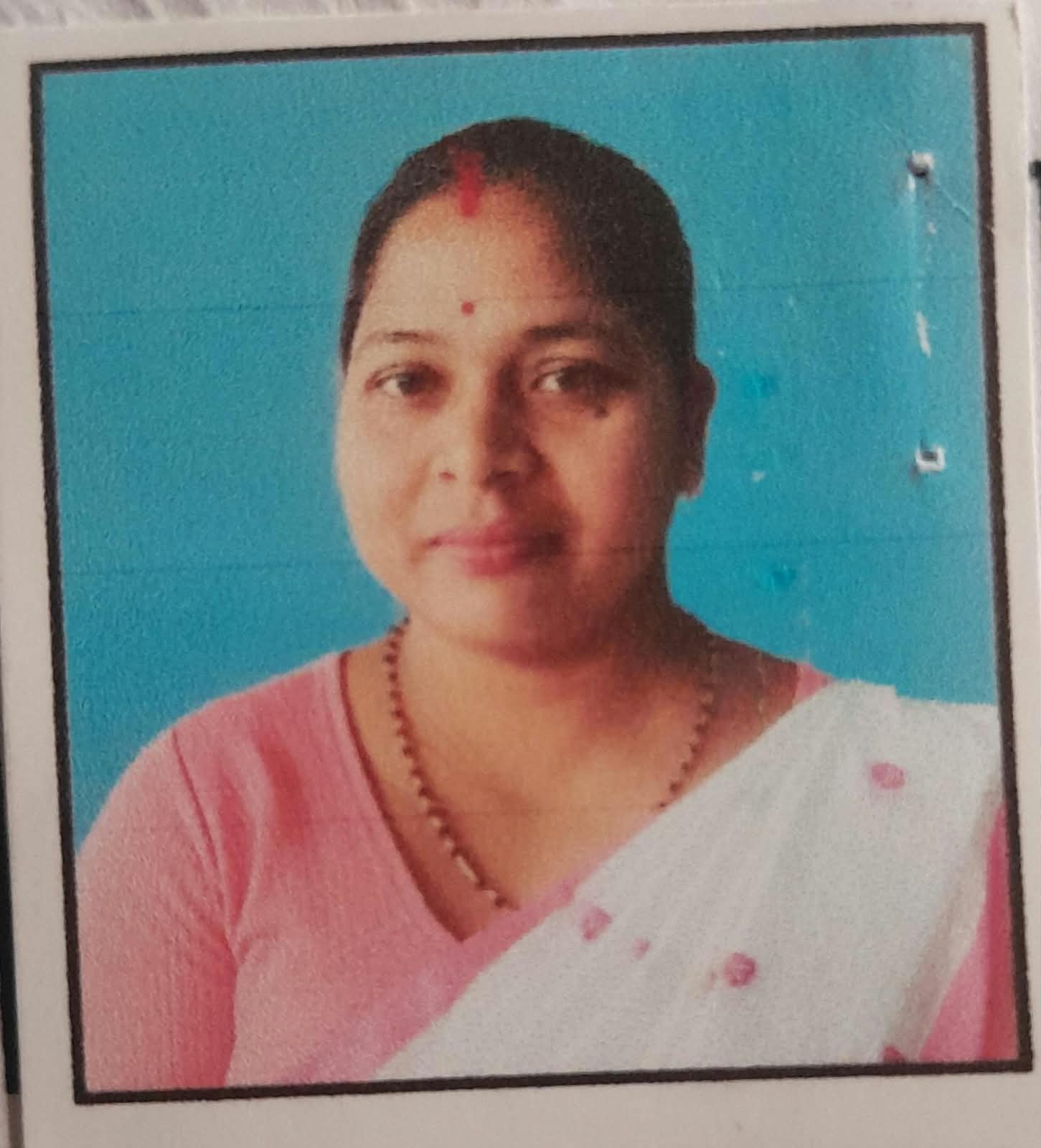Himadri Das