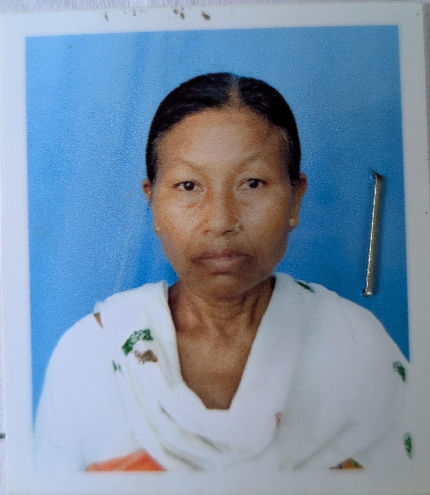 Hansri Boro