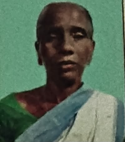 Minajati Ray