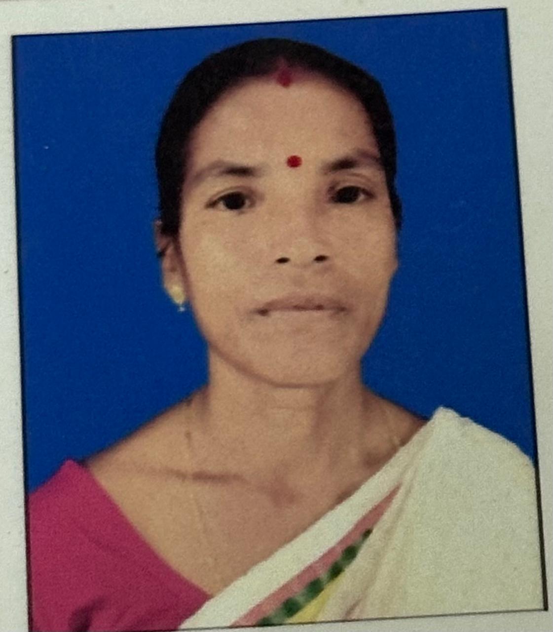 Sharmila Wala Ray